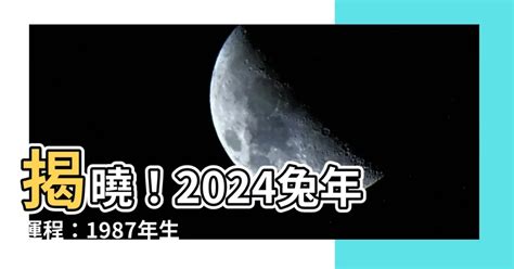 2025兔年運程1987|属兔1987年出生的人2025年全年运程运势